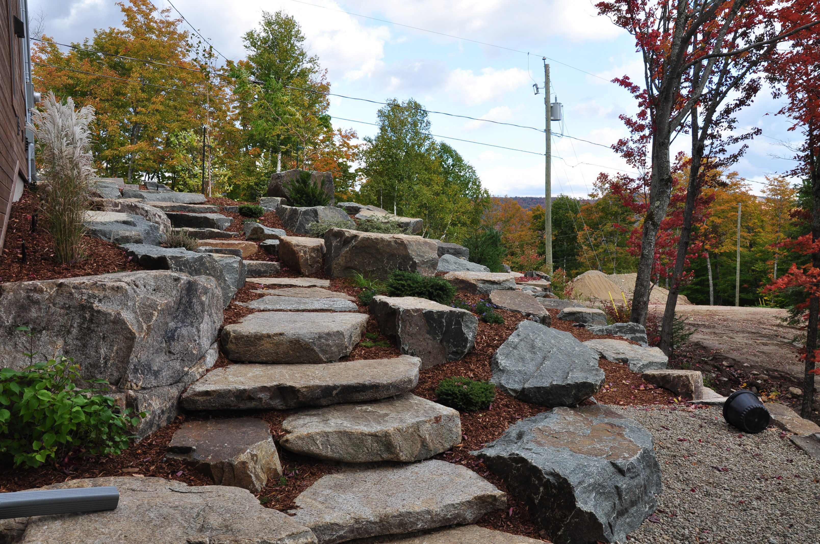 Amenagement paysager